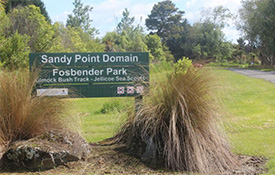 Sandy Point Domain