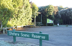 Otatara Scenic Reserve
