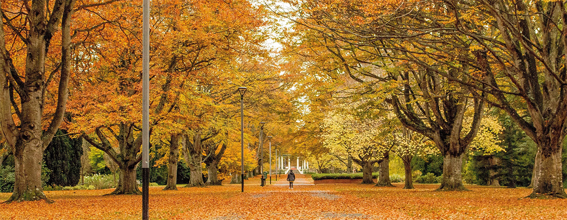 Queens Park in autumn