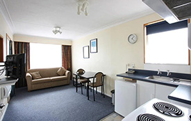 1-Bedroom Twin Apartment living area
